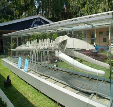 images for anthropological museum